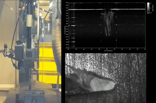 激光焊接熔深監控